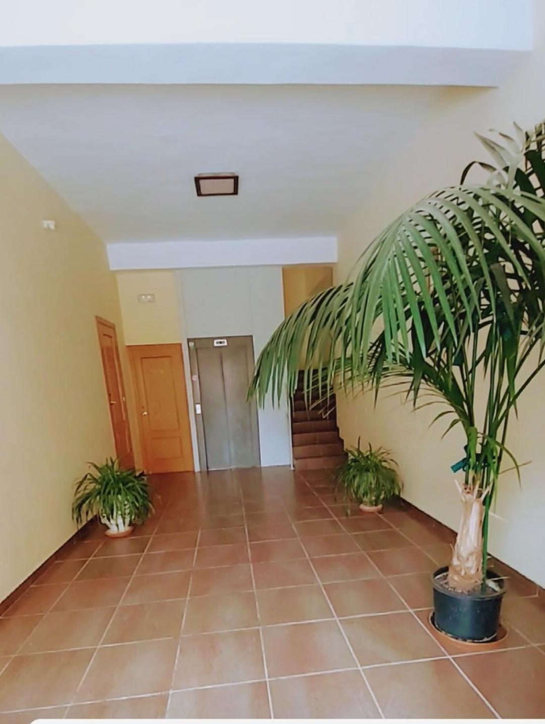 Apartamento Con Vistas A La Montana Oasis Сан-Висенте-де-ла-Сонсьерра Экстерьер фото